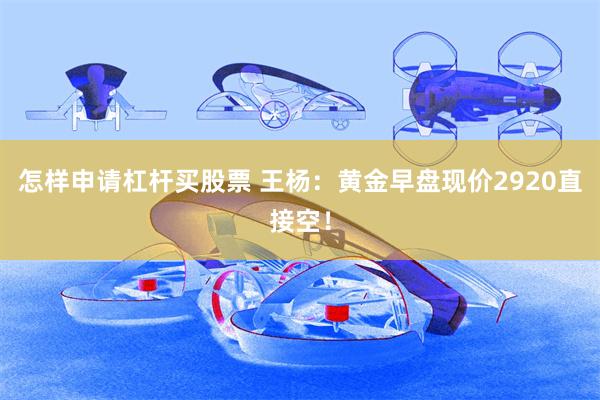 怎样申请杠杆买股票 王杨：黄金早盘现价2920直接空！