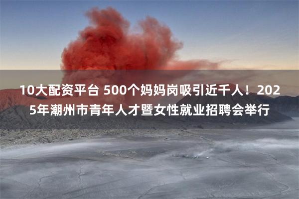 10大配资平台 500个妈妈岗吸引近千人！2025年潮州市青年人才暨女性就业招聘会举行