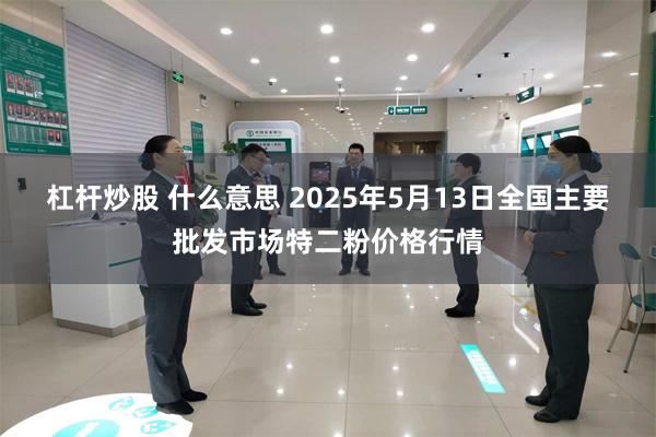 杠杆炒股 什么意思 2025年5月13日全国主要批发市场特二粉价格行情