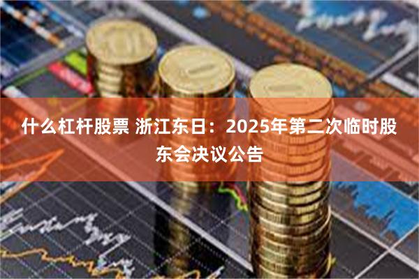 什么杠杆股票 浙江东日：2025年第二次临时股东会决议公告