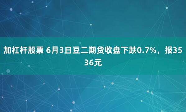 加杠杆股票 6月3日豆二期货收盘下跌0.7%，报3536元