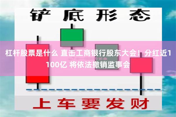 杠杆股票是什么 直击工商银行股东大会！分红近1100亿 将依法撤销监事会