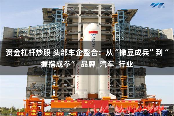 资金杠杆炒股 头部车企整合：从“撒豆成兵”到“握指成拳”_品牌_汽车_行业