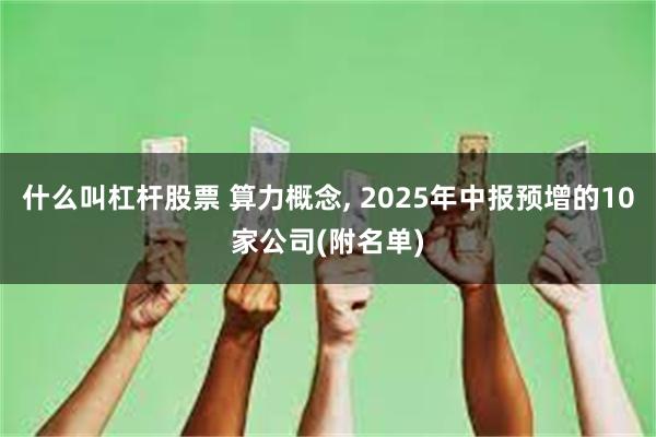 什么叫杠杆股票 算力概念, 2025年中报预增的10家公司(附名单)