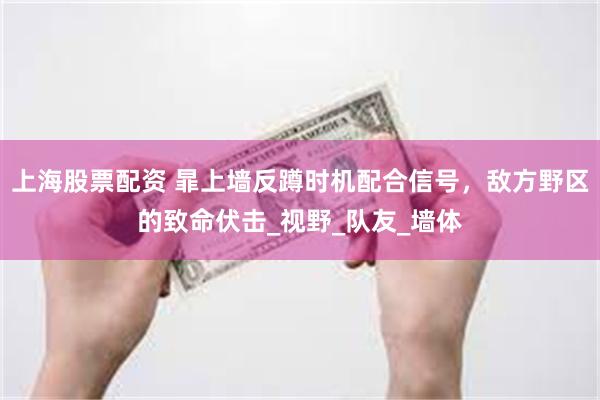 上海股票配资 暃上墙反蹲时机配合信号，敌方野区的致命伏击_视野_队友_墙体