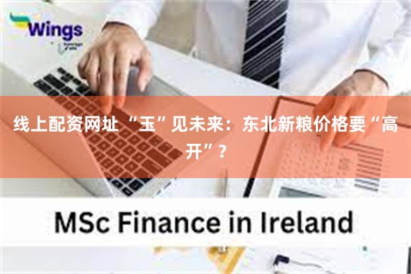 线上配资网址 “玉”见未来：东北新粮价格要“高开”？