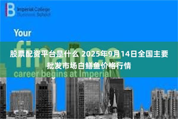 股票配资平台是什么 2025年9月14日全国主要批发市场白鳝鱼价格行情