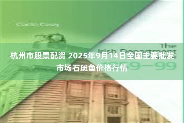 杭州市股票配资 2025年9月14日全国主要批发市场石斑鱼价格行情