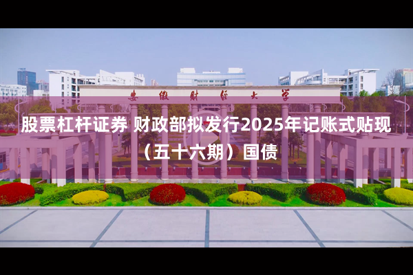 股票杠杆证券 财政部拟发行2025年记账式贴现（五十六期）国债