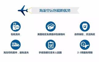 回國行李太多？高效省錢貨物代理服務指南